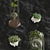 Succulent Forest: Miniature Botanical Showcase 3D model small image 2