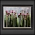 LentaArt Big Flowers Oil Paintings 3D model small image 2