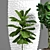 Botanical Bliss: Decorative Plant Set 3D model small image 3