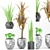 Exotic Pot Set with Rare Plant 3D model small image 1