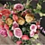 Elegant Rose Bouquet 3D model small image 3