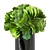 Elegant Hydrangea in Black Vase 3D model small image 2