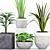 Elegant Plant Collection in Concrete Pot 3D model small image 2