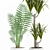 Tropical Plant Collection with Concrete pot 3D model small image 2