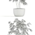 Botanical Bliss: 96 Stunning Plants 3D model small image 3
