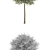 Willow Tree Model | Salix integra 'Hakuro Nishiki' 3D model small image 3