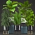 Exotic Plant Collection: Schefflera, Alocasia, Ficus, Areca Palm 3D model small image 1