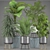 Exotic Plant Collection: Schefflera, Alocasia, Ficus, Areca Palm 3D model small image 3