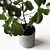 Elegant Ficus Elastica: 3ds Max, OBJ, V-Ray, 2009, 2015 3D model small image 6