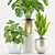 Botanical Bliss: Philodendron, Palm, and Monstera Set 3D model small image 2