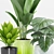 Tropical Paradise: Philodendron, Palm & Banana Plant 3D model small image 2