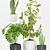 65-Plant Collection: Sansevieria, Cylindrical, Ficus & Monstera 3D model small image 2