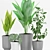 Modern Indoor Plant Collection 3D model small image 2
