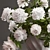 Pure Elegance: White Peony Bouquet 3D model small image 2