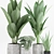 Tropical Plant Mix: Strelitzia, Banana & Sansevieria 3D model small image 2