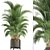 Tropical Kentia Palm: Stylish Indoor Plant 3D model small image 1