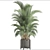 Tropical Kentia Palm: Stylish Indoor Plant 3D model small image 3