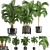 Tropical Oasis Collection: Howea forsteriana 3D model small image 1