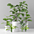 28 Varieties of Plants Tree Collection 3D model small image 1