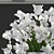Elegant White Iris Bouquet 3D model small image 2
