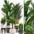 Tropical Plant Collection: Bananas, Palms, and More! 3D model small image 1