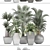 Gorgeous Indoor Plant Collection 3D model small image 3