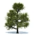 Summer Oak Tree with Acorns 3D model small image 1