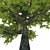 Summer Oak Tree with Acorns 3D model small image 2
