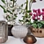 Exquisite Orchid Set: Dendrobium, Zigopetalum, Cyclamen, & Zara Home Lantern 3D model small image 3