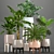 Indoor Plant Collection: Philodendron, Cycas, Alocasia 3D model small image 1