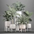 Indoor Plant Collection: Philodendron, Cycas, Alocasia 3D model small image 3