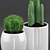 Elegant Cactus & Succulent Set 3D model small image 2
