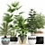 Greenery Galore: 113 Plant Collection 3D model small image 1