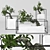 33 Bonsai Plants Tree 3D model small image 1