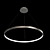 Russian-Made LED Pendant Chandelier 3D model small image 1