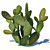 Opuntia Ficus-Indica: Mediterranean Cactus 3D model small image 2