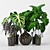 3D Plants Tree Collection 3D model small image 1