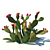 Prickly Pear Cactus / Garden Delight 3D model small image 1
