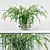  Realistic Northern Sea Oats & Pennisetum Green 3D model small image 1