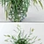  Realistic Northern Sea Oats & Pennisetum Green 3D model small image 2