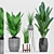  Botanical Bliss: Aspidistra, Sansevieria, Grass & Banana Plant with Stylish Pot 3D model small image 1