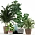 115 Plant Collection: Exquisite Variety for Every Space 3D model small image 1