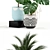 115 Plant Collection: Exquisite Variety for Every Space 3D model small image 2