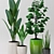 83 Exotic Indoor Plants 3D model small image 2