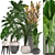Diverse Indoor Plant Collection 3D model small image 1
