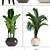 Diverse Indoor Plant Collection 3D model small image 2