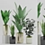 Botanical Plant Set: Black Pot 3D model small image 1