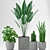 Gorgeous Greenery: Cactus Paradise Plant Kit 3D model small image 2