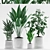 Tropical Plant Trio in White Pot 3D model small image 1