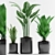 Tropical Trio Potted Plants 3D model small image 1